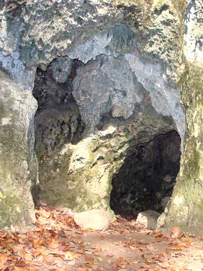 Geologically rich cave mouth