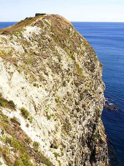 Cliff above ocean showing evidence of erosion